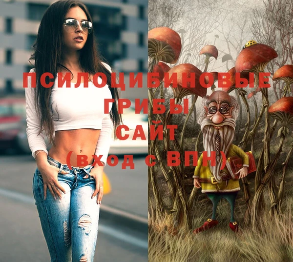 хмурый Армянск
