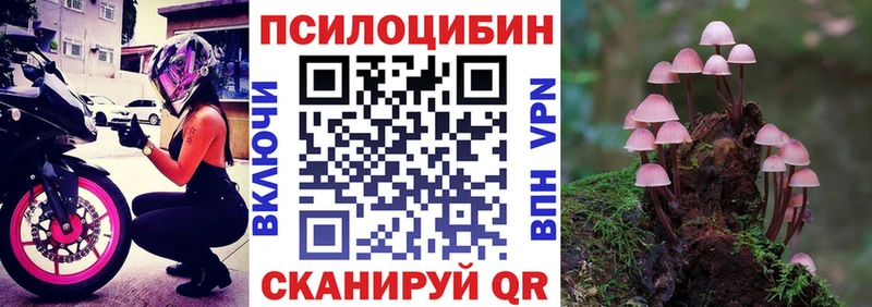 Купить  Вуктыл  Псилоцибиновые грибы Psilocybe 